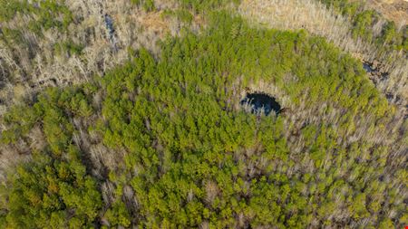 Telfair Tract 1