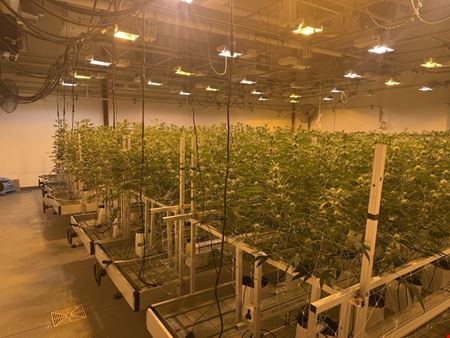 Clare - Operating Cultivation/Processing Facility