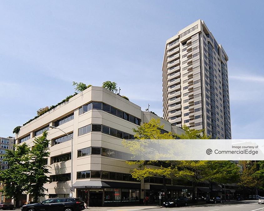 Bay Vista