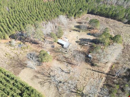 Rocky Creek Road - 341.52 Acres