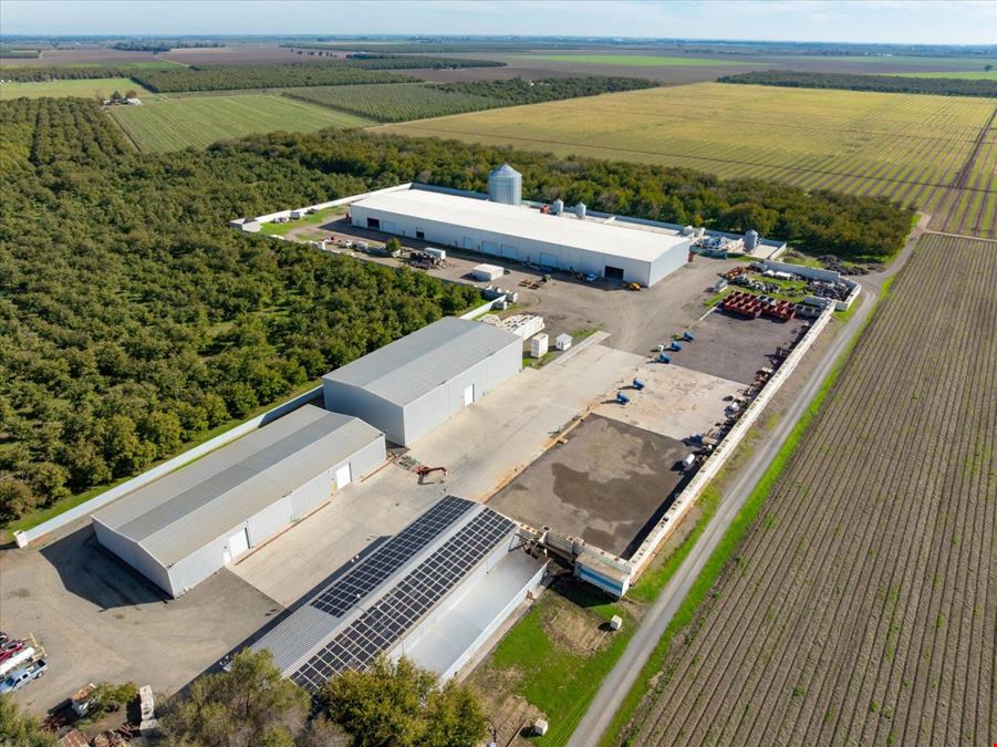 Organic Walnut Orchard & Processing Facility