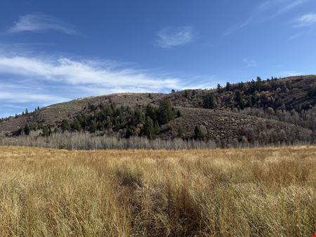694.8 Acres TBD West Pocatello Creek Road