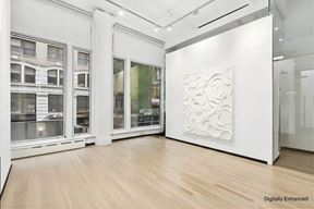 Commercial Condo for Sale, 25 E 21st St Unit #2