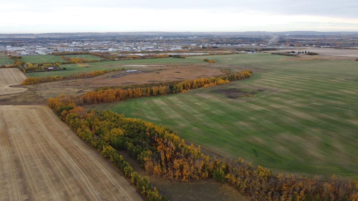 Schickedanz West - 193.21 Acres