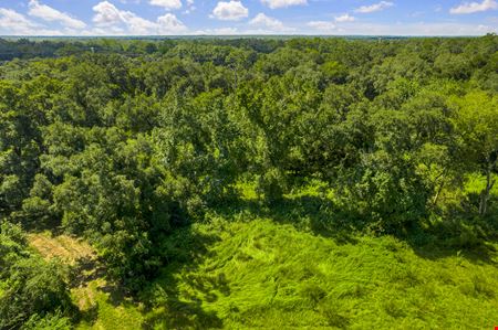 48.54 Acres on SR 93/I-75