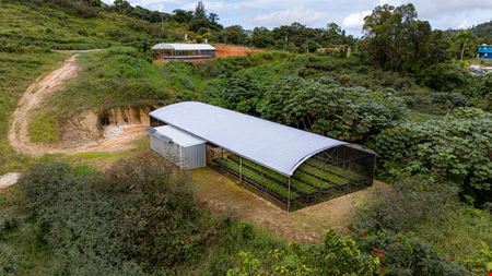Turnkey Agricultural Operation w. Eco Tourism Potential @ Hacienda Montesol - For Sale