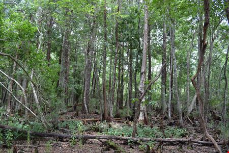 Hidden Lake Preserve