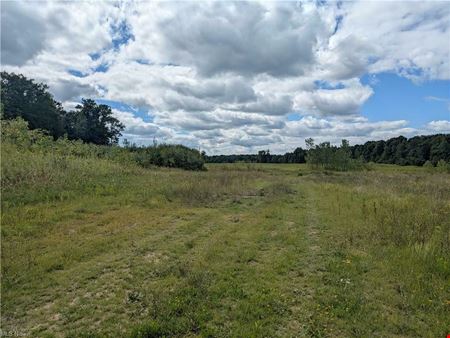 VacantLand space for Sale at Saybrook I-90 / SR 45 Interchange Commercial Development Site - 36 acres Vacant Land in Saybrook
