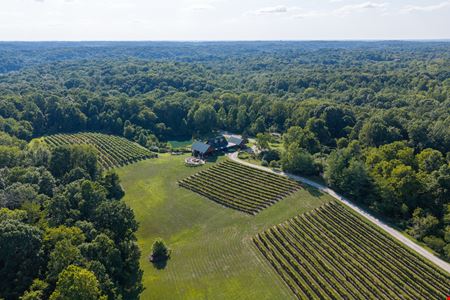 Shade Winery