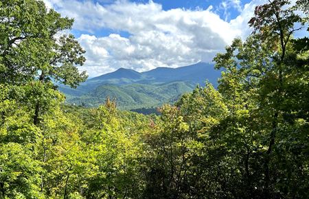 Land space for Sale at 4.88 Acre Mountain Development Gatlinburg, TN in Gatlinburg