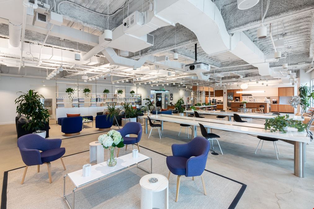 WeWork - 901 North Glebe Road