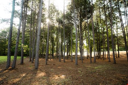 Highland Colony Parkway & Park Place - Corner Lot