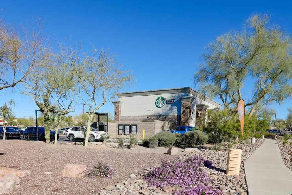 Scottsdale 101