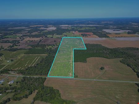 VacantLand space for Sale at 101± Acre Timber Investment with Slash Pine, Hardwoods & Hunting Near Graceville in Graceville