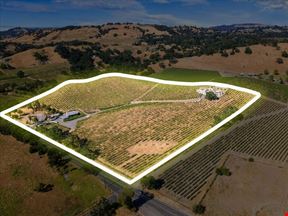 Knoll-Top Vineyard Estate with Tasting Room