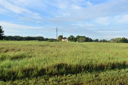 VacantLand space for Sale at Lake County 2,478 ± Acre Land Investment and Ranch in Groveland