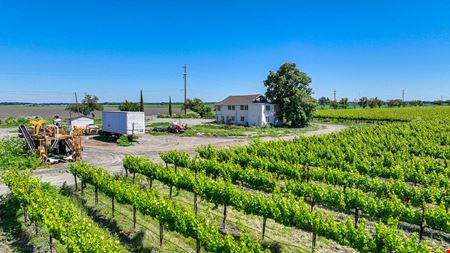 Clarksburg Vineyard Land