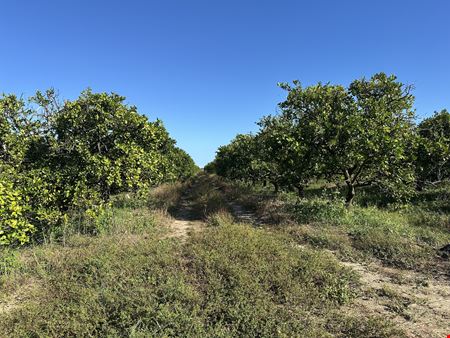 West River Farm