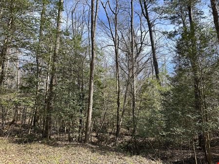 Garland Reid Road Tract