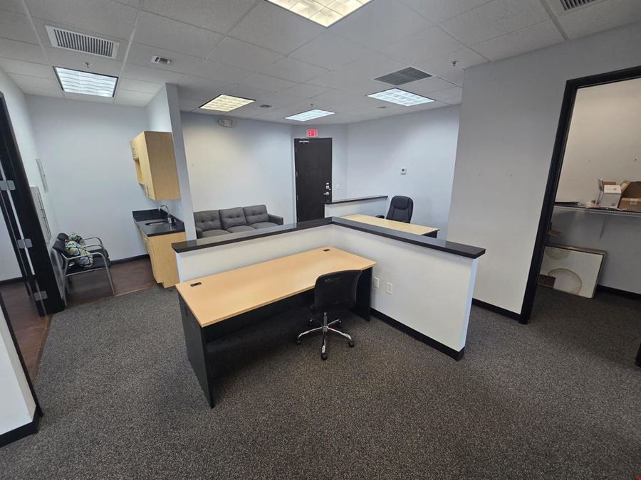 Professional Office