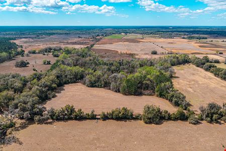 Putnam County Farmland