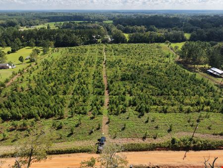 40+/- AC Grady County