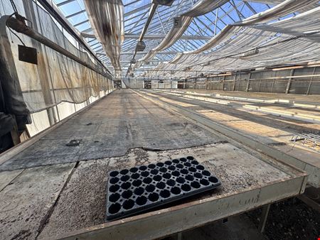 Turn Key Greenhouse Operation