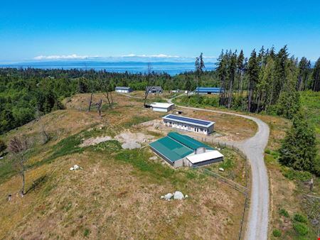 Unassigned space for Sale at Wooff Goat Farm in Port Angeles