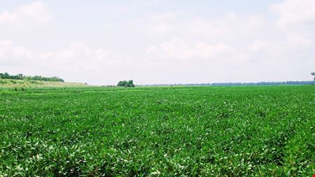 Mosby Spur Levee Farm