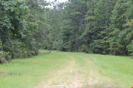Florida River Timber & Recreational Tract