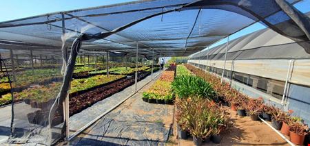 22.86 Acres of Land with 3 houses and greenhouses in Bonsall