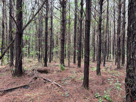 VacantLand space for Sale at Fox Pen Tract in Greenville