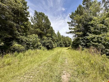 Dupree Tract