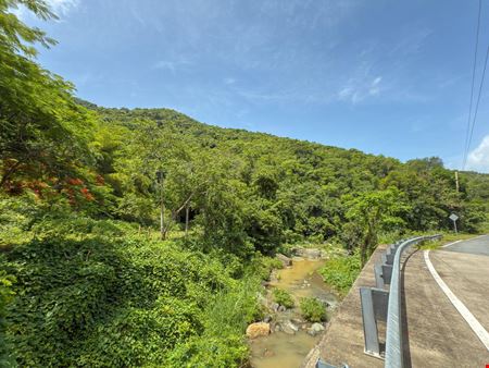 Agricultural space for Sale at Cayey Land 173 Acres in Cayey